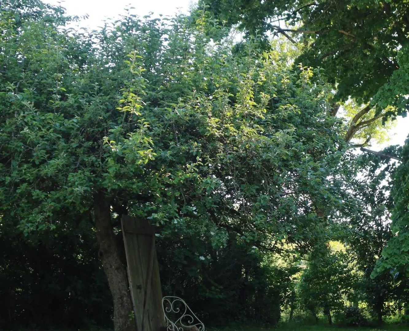 La Petite Parenthese Bed & Breakfast Chaveyriat 0*,